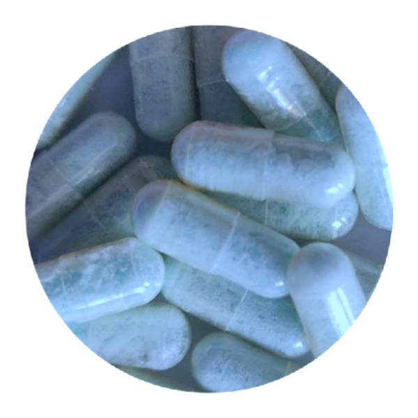 Blue Dolphin MDMA Capsules