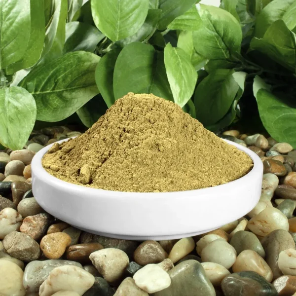 KRATOM Gold Bali - Image 2